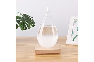 Globe Storm Glass Weather Station Predictor