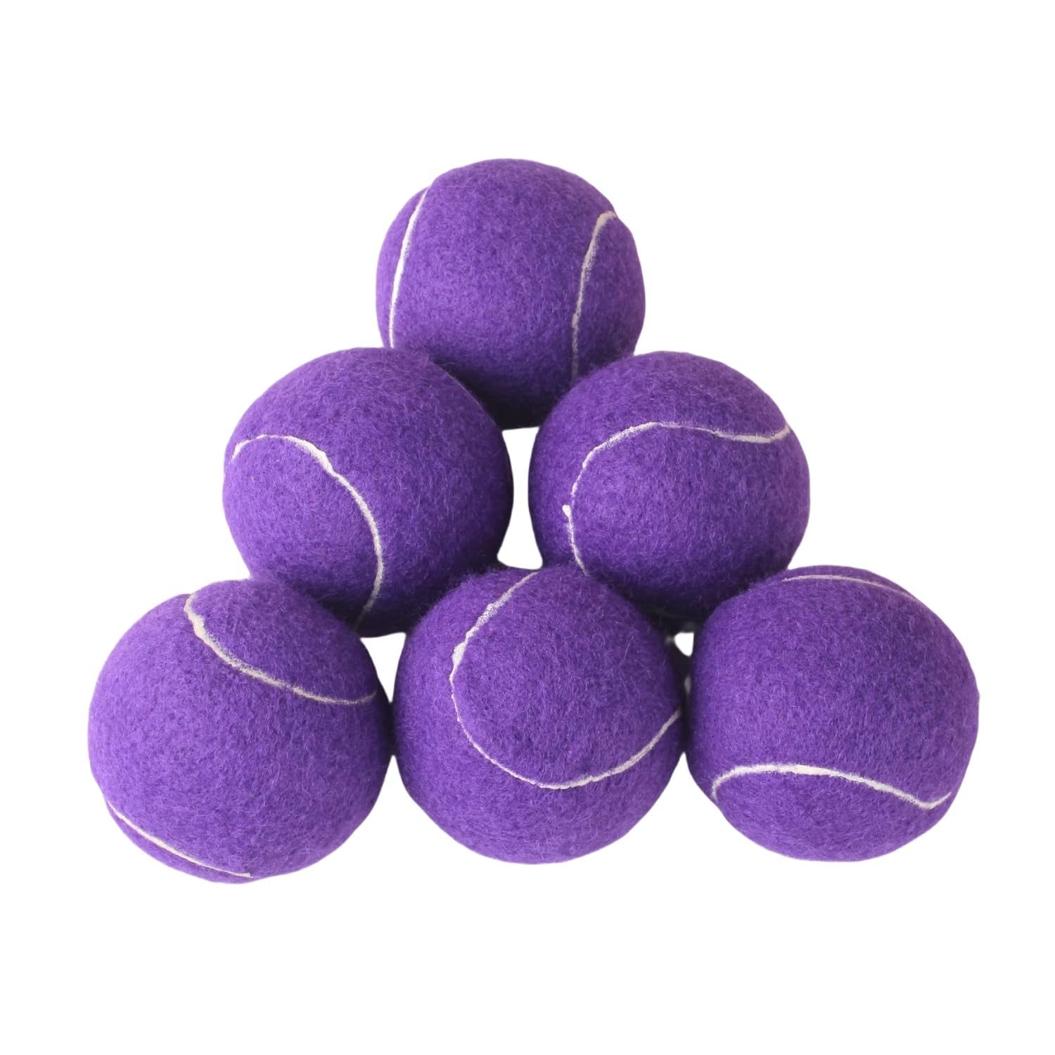 Easnea 6 PCS Training Tennis Balls, High Elasticity Practice Tennis for Beginner, Exercise Playing Balls Felt Training Toys for Pet Dog (Purple)