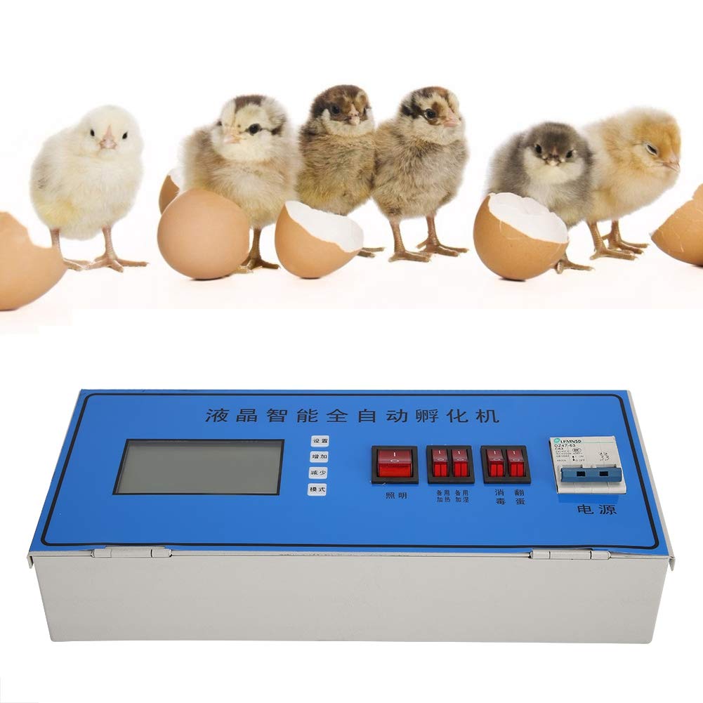 Incubadora Digital automática LCD inteligente, incubadora de huevos de gallina, controlador de temperatura y humedad