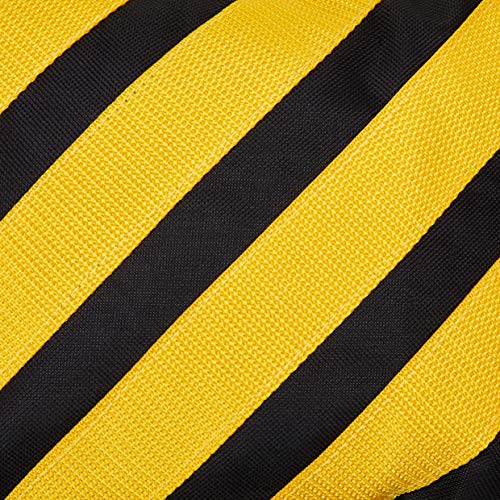 NEEWER Sacchi di sabbia con doppio manico