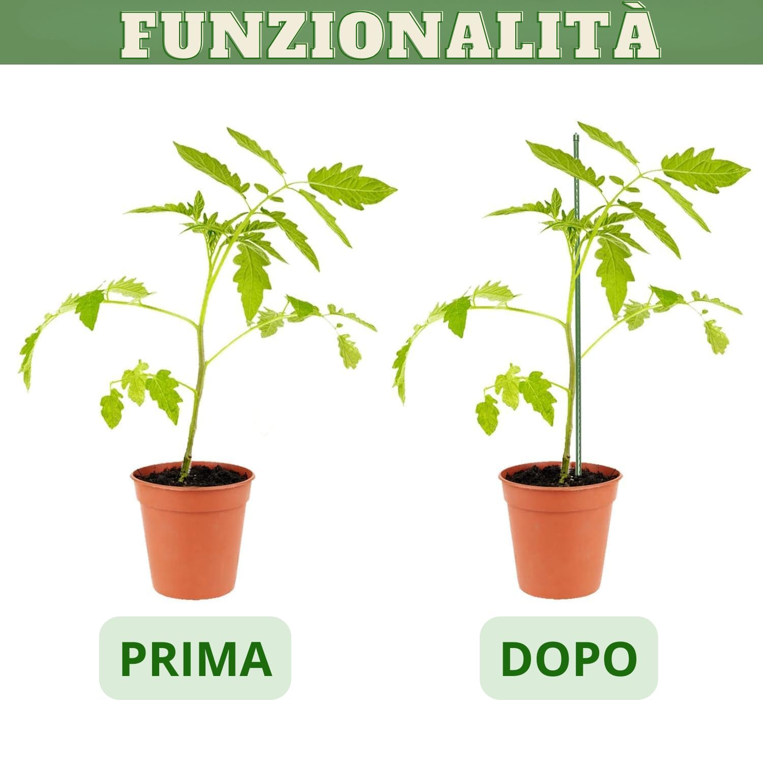 Bastoncini Supporto Piante Rampicanti Set 25 Cannette Acciaio Plastificato Bastone 1,6 Ø x 180 cm Tutore Verde Giardino Orto Pomodori Melenzane