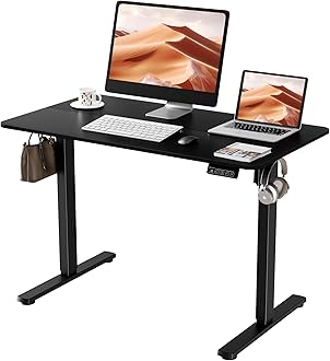 ERGOMAKER Electric Elevating Desk, Standing Desk (W x D x H): 43.3 x 23.6 inches (110 x 60 cm), Height Adjustable for Home Office, Ergonomic, Computer Desk (Feet Black) + Top Plate (Black), 43.3 x
