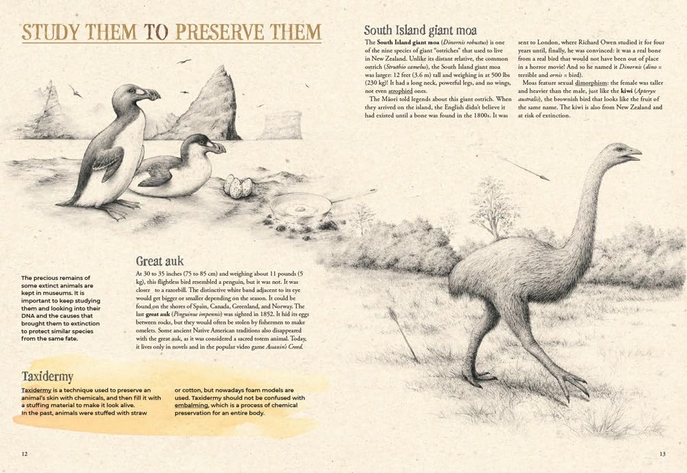 Extinctopedia: Discover what we have lost, what is at risk, and how we can preserve the diversity of our fragile planet (Smithsonian)