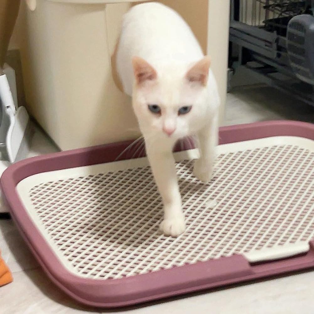 25.6x19.7inch Cat Litter Box Step Elevated Litter Collection Pad with Filter Function,Large Double Layer Filter Tray Cat Litter Trapping Ramp for Easy Cleaning (Grey)