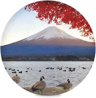 HJHJJ Tovagliette Rotonde Antirughe e Resistente al Calore Poliestere Mt Fuji Vista Lago Kawaguchiko Tovagliette Autunnali Set di 4 tovagliette per la Decorazione della tavola da Pranzo della Cucina