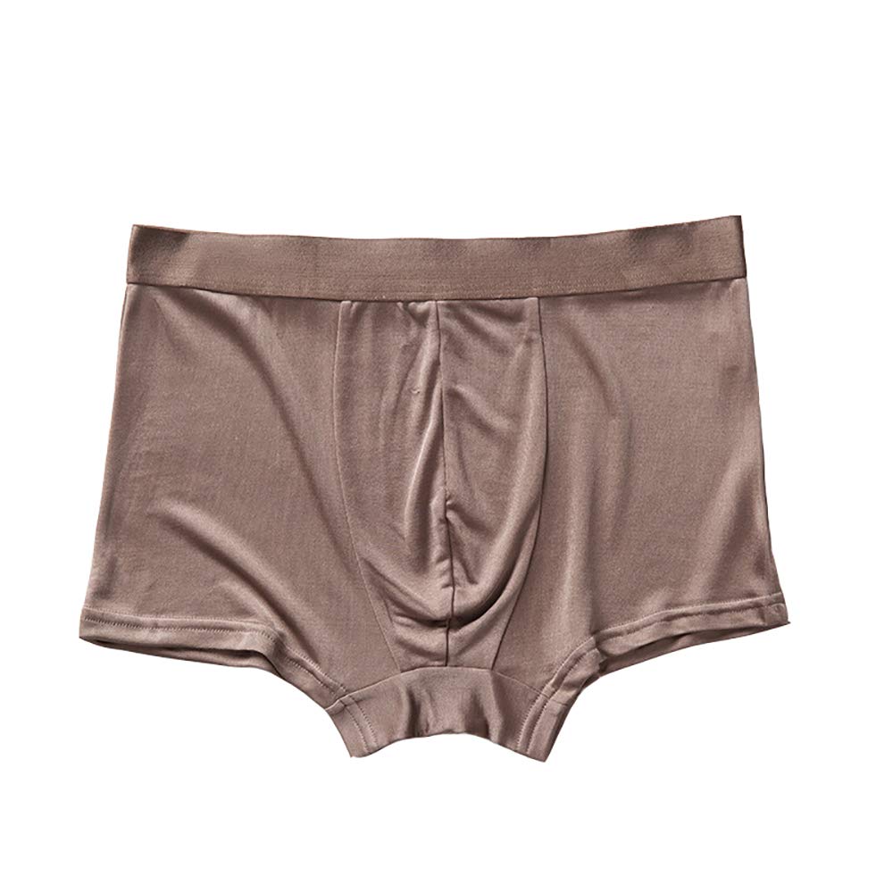LSHARON SILK Men's 100% Mulberry Silk Boxer Underwear Briefs Panties (Coffee, XL)