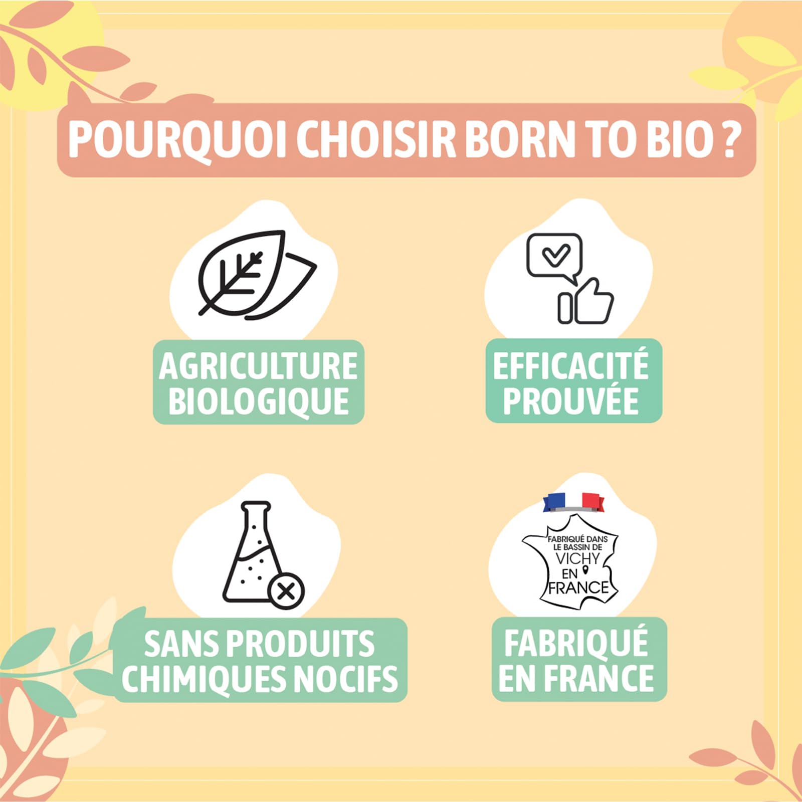 BORN TO BIO Mousse Nettoyante Visage Bio pour Peaux Grasses: Pureté - Lot de 2 x 150ml: Agrumes - Nettoyage Doux et Efficace - Texture Ultra Légère - Certifiée Bio