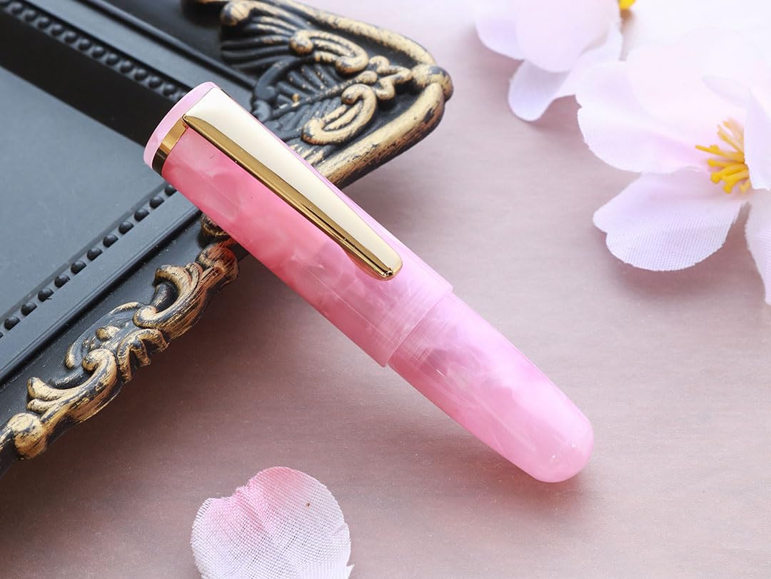 Amazon | WANCHER 1×one×wan PuChiCo (EF, ピオニーピンク) | 万年筆