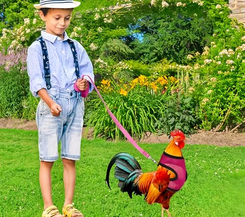Image of 3 Pack Chicken Harness and Leash Set Adjustable Hen Vest with Matching Belt Breathable Mesh Training Harness Pets Leash for Hens Duck Goose Small Pet-Black&Red&Pink,S