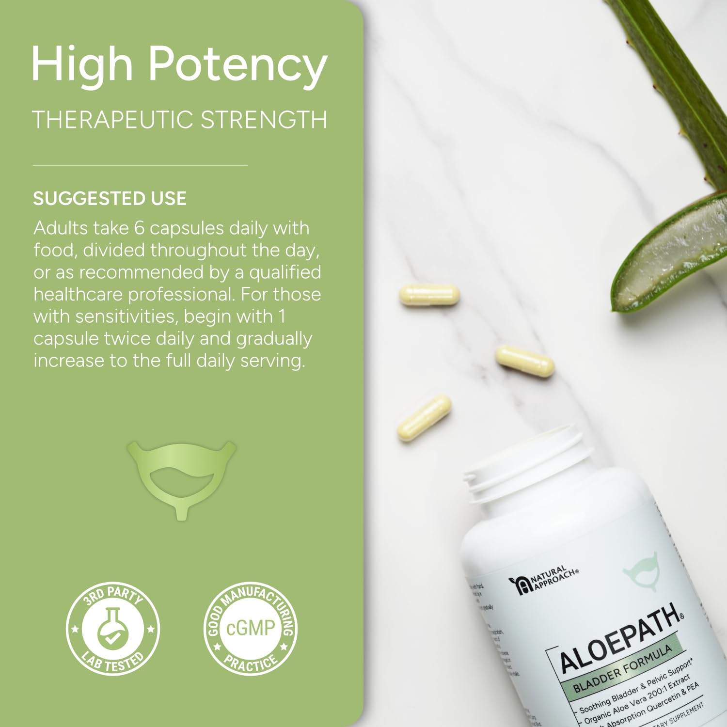 ALOEPATH - 200x Aloe Vera Bladder Support with Quercetin, Pea & L-Arginine - Organic Aloe Vera Capsules for Bladder & Pelvic Wellness - Premium USA Manufactured Supplement - 180 Capsules