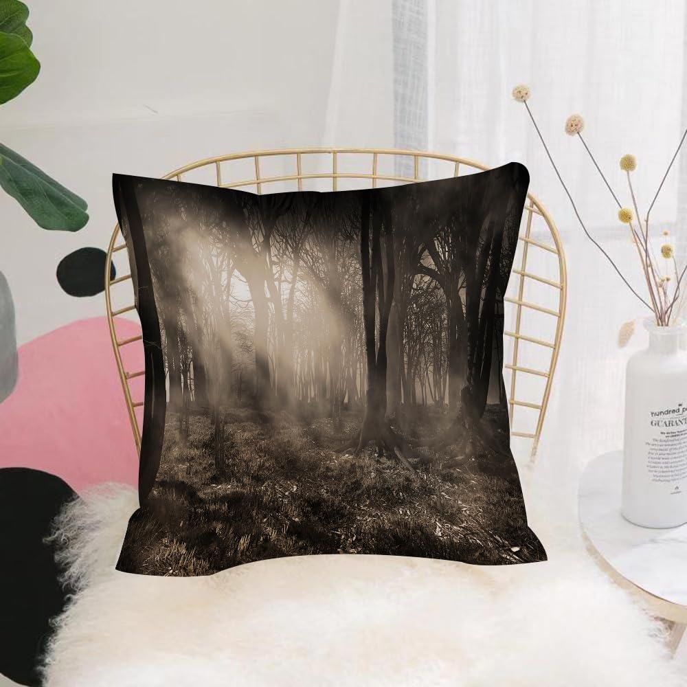 HYMSXW Cushion Cover,Throw Pillow Case Home Decorative for Living Room Bedroom Sofa Chair 20X20 Inch,Gothic, photo of the dark forest landscape with sun rays and fog vintage nostal,Pillowcase 50X50cm