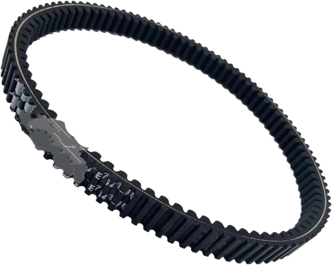 速達！P. willinckii 'Jenny' TC 1636