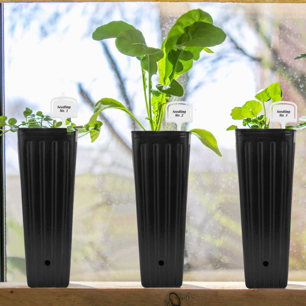 Pots de pépinière de Plantes Profondes 50 pièces, récipient semis d'arbres Taille avec Trous Drainage pour Le Jardin
