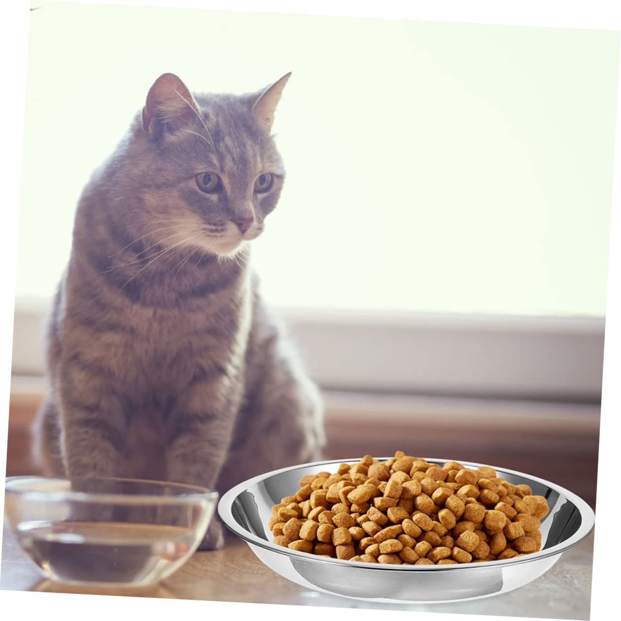 POPETPOP 20 Pezzi Ciotola Per Gatti In Acciaio Inossidabile Ciotola Per Cani In Acciaio Inox Ciotole In Acciaio Inossidabile Per Cani Ciotole Per Cibo Per Gatti In