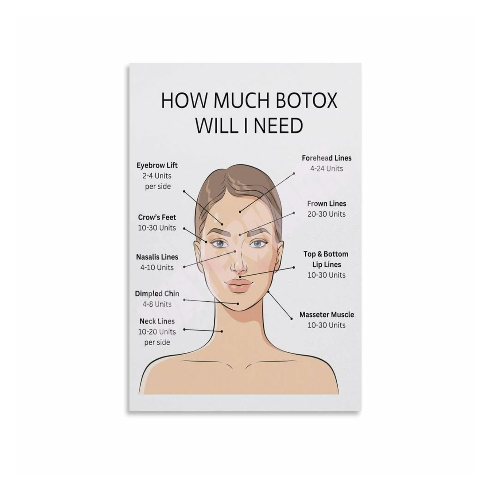 ICYJRFHLTF Detailed Facial Anatomy Metal Tin Sign Skin Layers And Muscles Chart Diagram Study Reference For Esthetician School Or Office 8 X 12 in