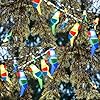 Outdoor Parrot String Lights, 8.5Ft Tropical Themed LED Patio String ...
