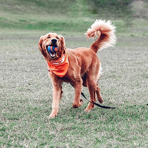 Image of Chuckit! Ultra Squeaker Ball Dog Toy, Large (3 Inch) 1 Pack, for Large Breeds
