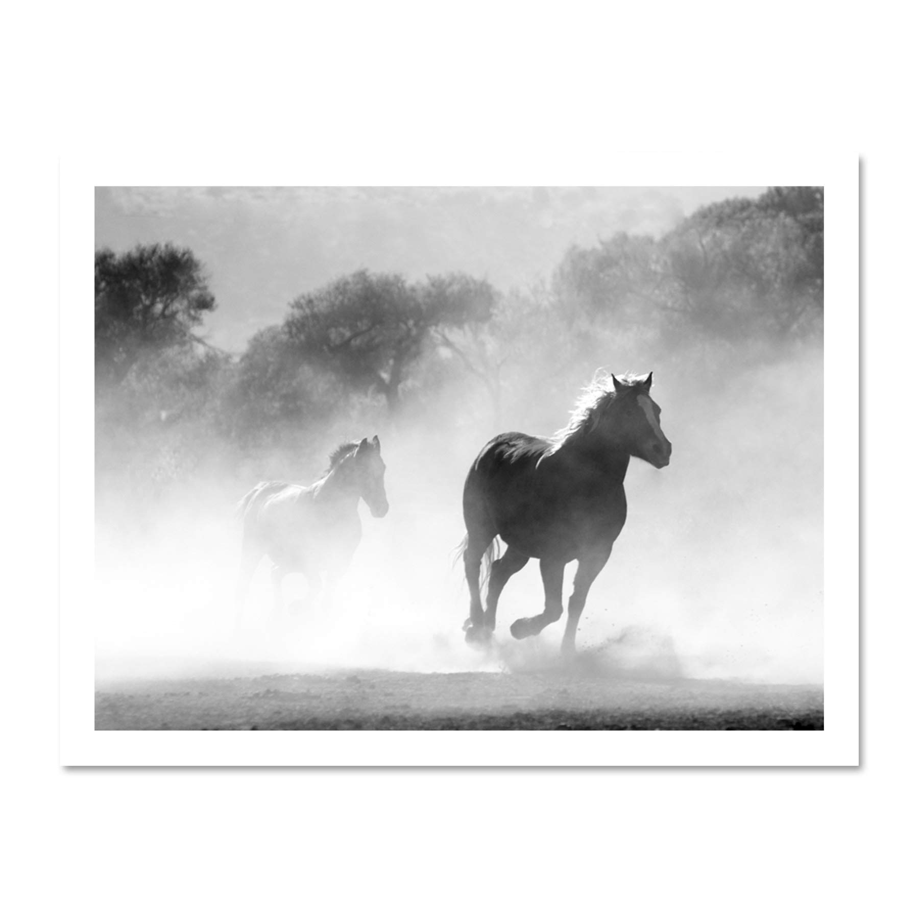 Horses Running Mist BW Large Framed Art Print Poster Wall Decor 18x24 inch