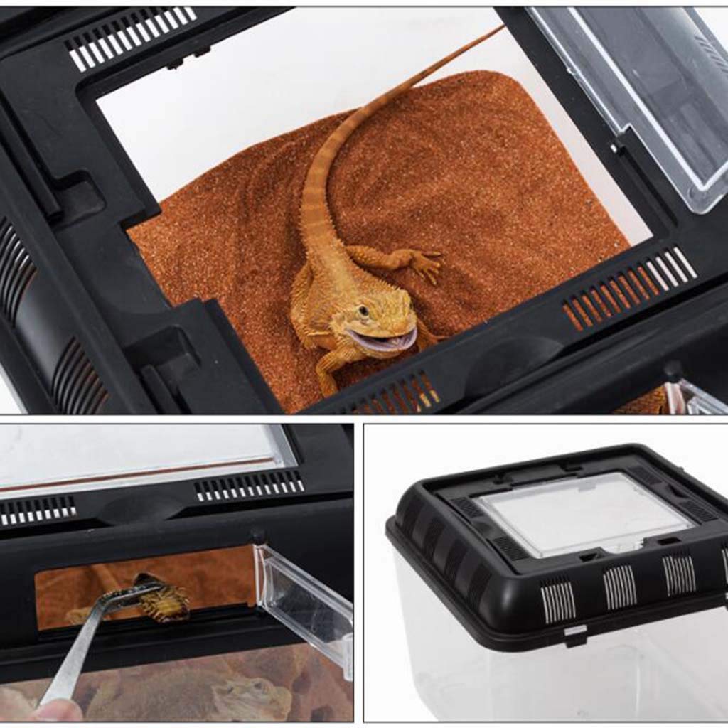 Contenedor de plástico con asa de Transporte Tanque de Acuario Caja de terrario Peces pequeños Invertebrados Reptiles Anfibios Plantas e Insectos acuáticos (Transparente 26 * 26 * 20 cm)