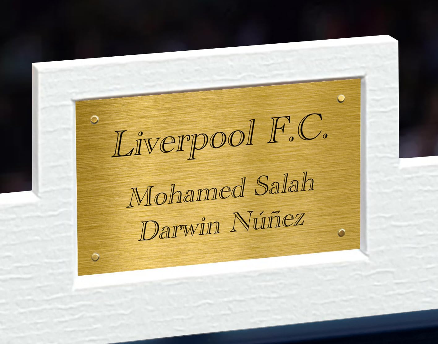Kitbags & Lockers 12x8 A4 Signed Mohamed Mo Salah Darwin Nunez Celebration Liverpool F.C. Autographed Autograph Signed Photograph Photo Picture Frame Football Soccer Poster Gift, Black