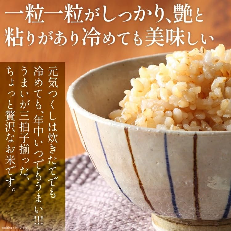Amazon.co.jp: 令和7年 おいしく炊ける 玄米ごはん 元気つくし 1.5kg