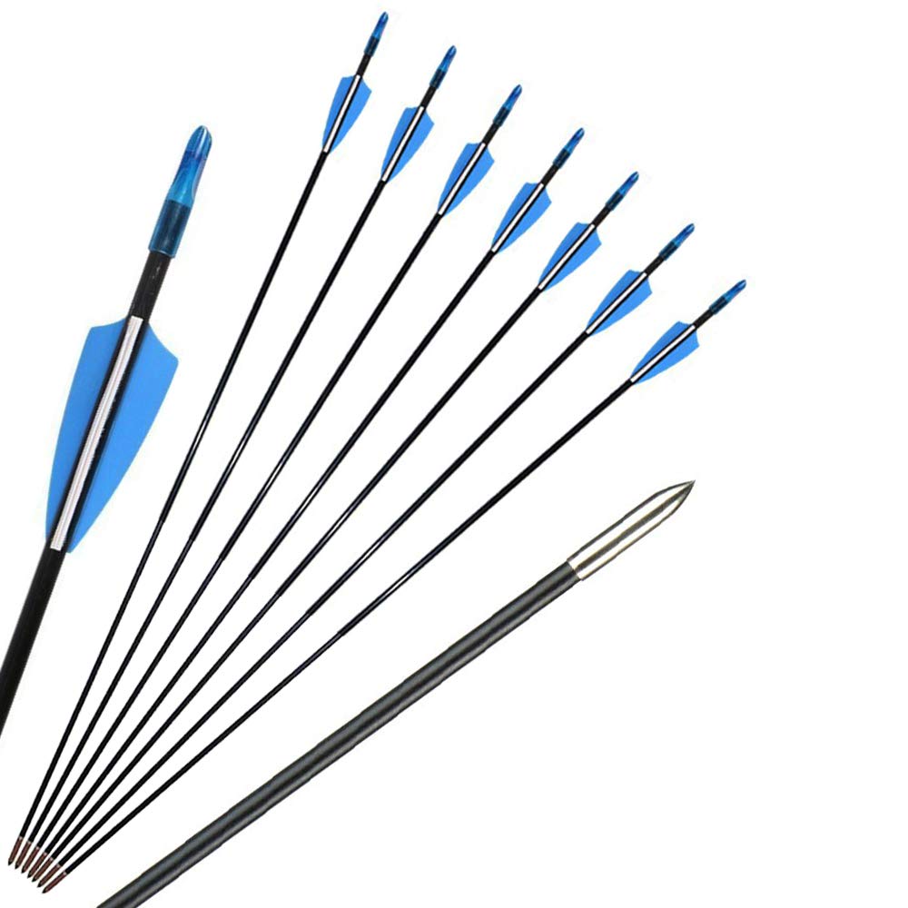12pcs Flèches en Fibre de Verre 31 Pouces Flèches d'entraînement de Cible Spine 900 Flèches de Chasse avec Flèche Carquois pour 35 Lbs Arc Recourbé Arc Long Traditionnel
