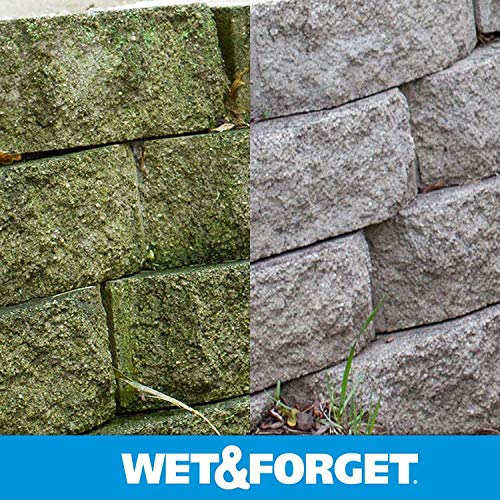Wet & Forget 800012-1 Outdoor Moss Mold Mildew & Algae Stain Remover 2X .75 Gallon thumb #8