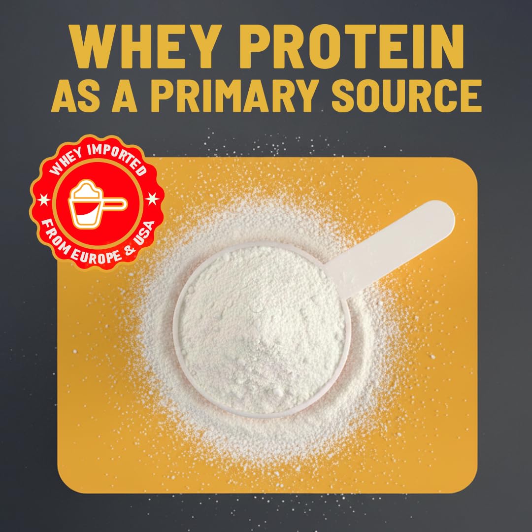 Bagrry's Whey Protein Muesli 500g | 20g+ Protein | Chocolate Flavour| Whole Oats & Californian Almonds| Breakfast Cereal|Protein Rich| Premium American Whey Muesli 1