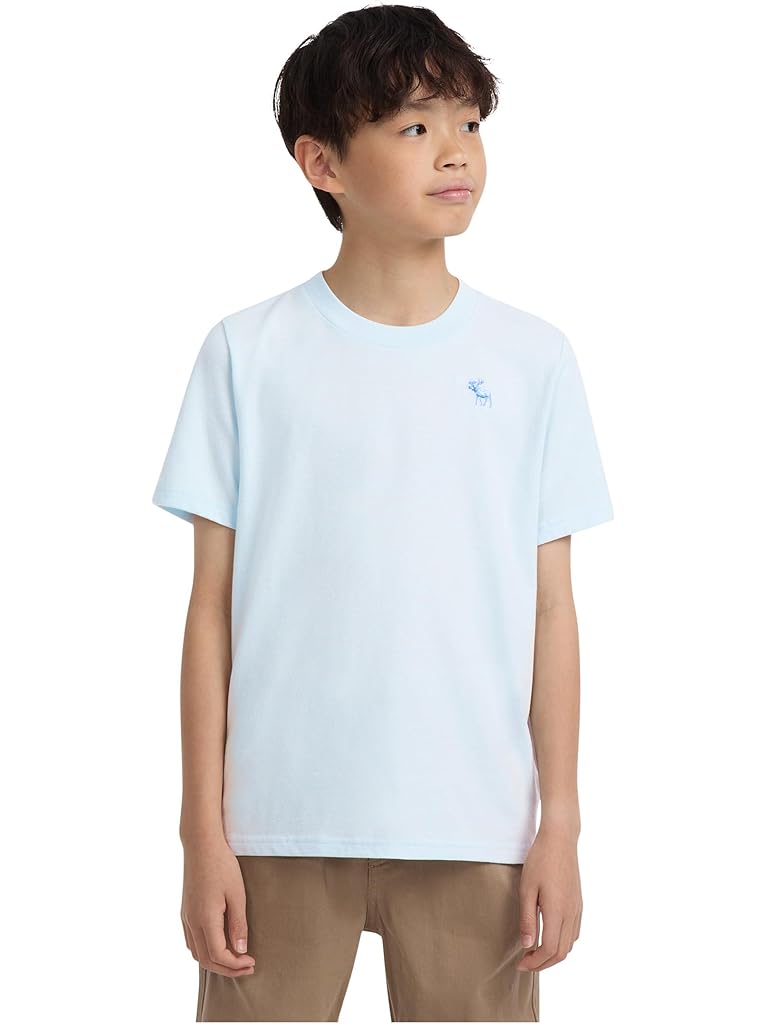 Blue Abercrombie & Fitch Short Sleeve Essential Tee (Big Kid)