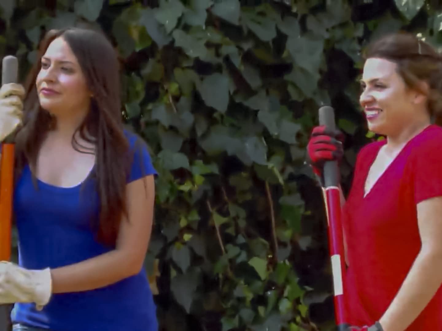 Amazon.de Gartenglück mit Sara Bendrick Season 1 ansehen Prime Video