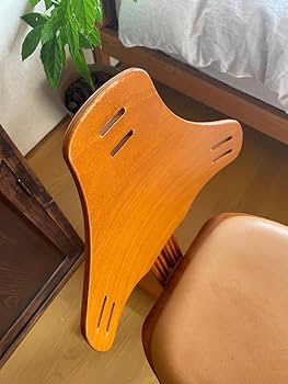 Amazon.co.jp: ノルウェー 家具 Rybo リボ社 FLEXIT フレキシット