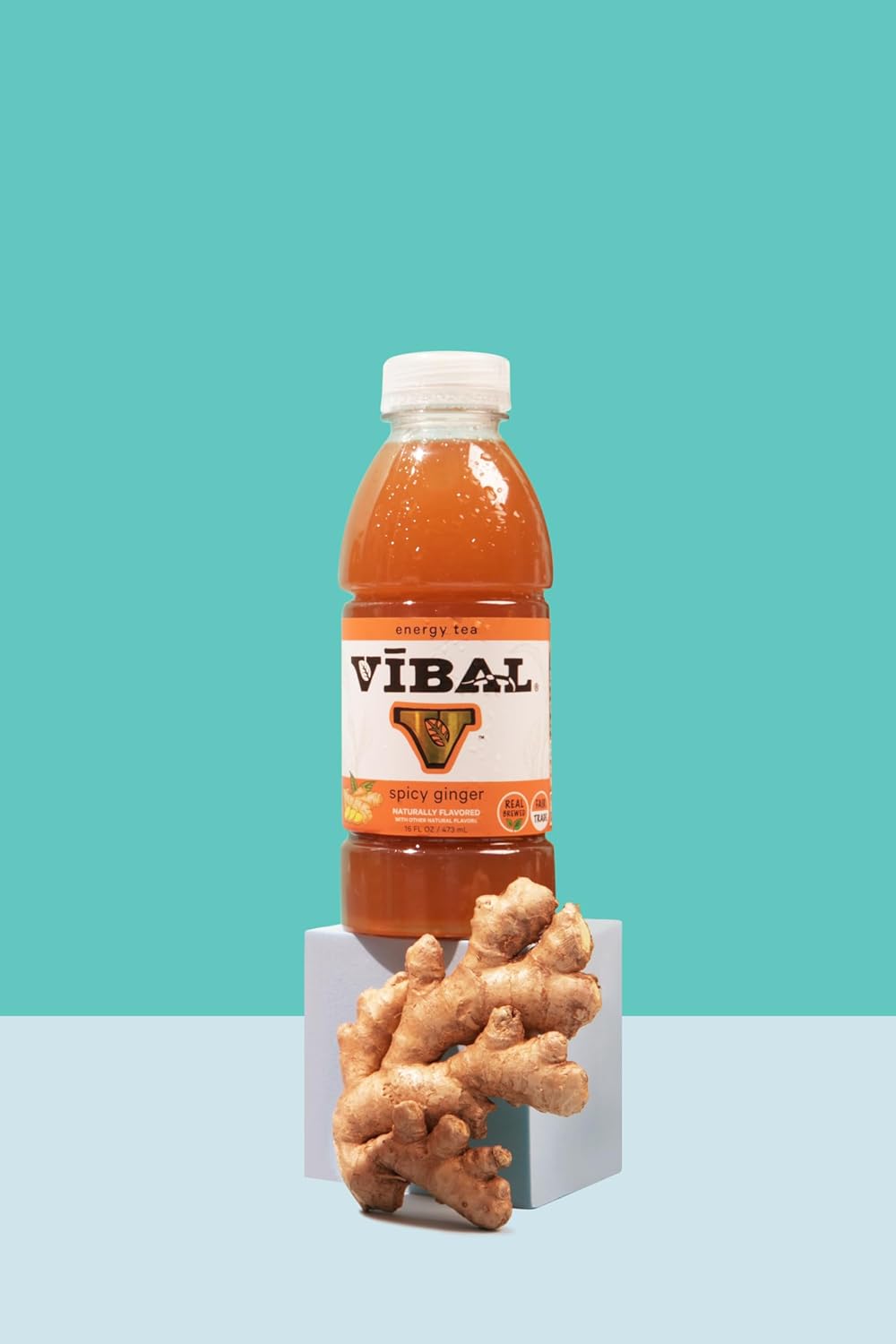 VIBAL ENERGY TEA, Spicy Ginger, 16 Fl Oz, 6-Pack, Natural Energy, High Caffeine, Ginseng, Theanine, Low Sugar, Low Carb, Low Calorie, Adaptogens, Nootropics