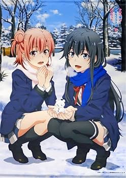 俺ガイル アトレ 雪乃 タペストリー Amazon.co.jp: 俺ガイル タペストリー アニメ 雪ノ下雪乃 由比ヶ