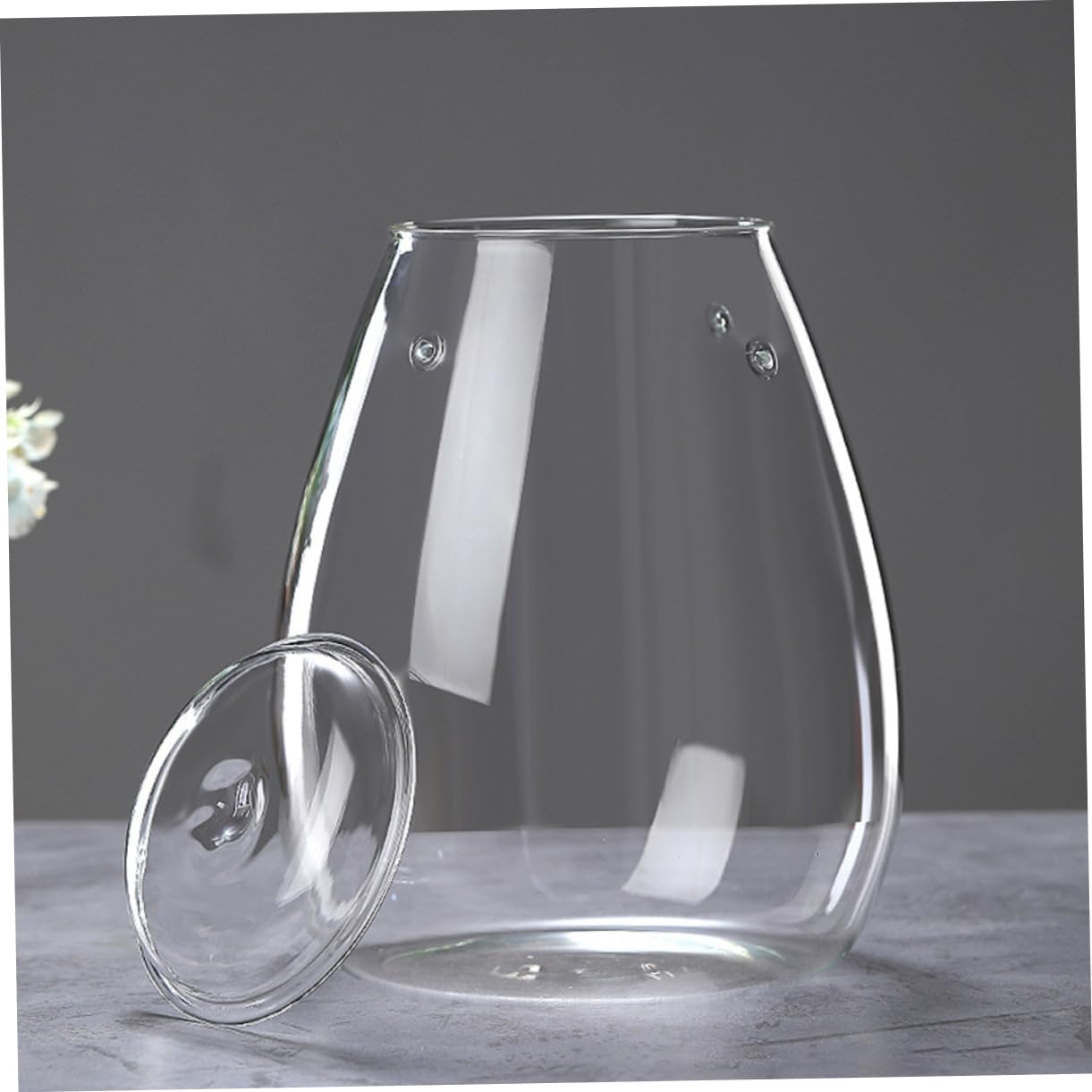 Landscape Glass Bottle for Plants Creative Terrarium Vase Glass Planter for Home Office and Garden Decor for and Flower Display