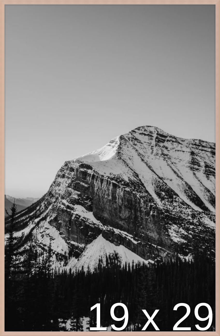 Frame It Easy 19 x 29 Rose Gold Metal Frame (Ashford)