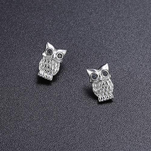 Pendientes de plata esterlina sin níquel para evitar alergias 4