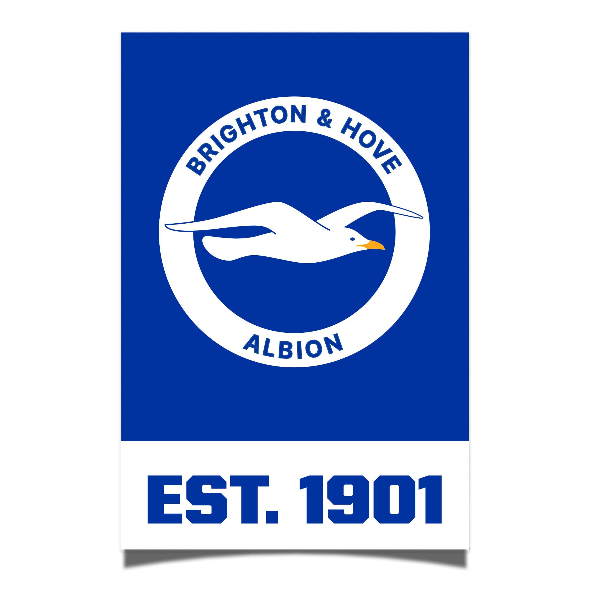 Amazon.com: Desert Cactus Brighton & Hove Albion Poster Football