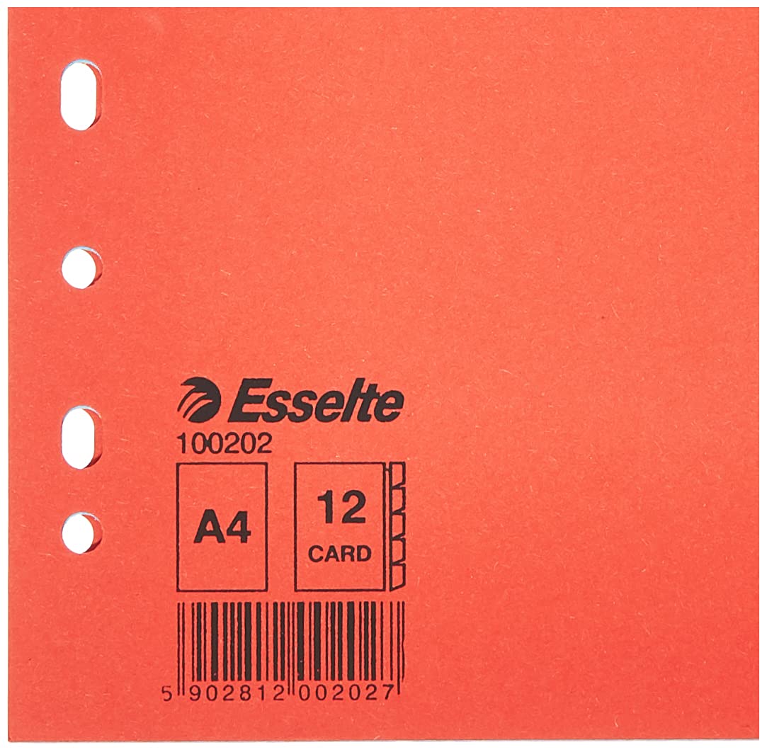 Divisori Per Raccoglitori Esselte Con 12 Tasti Colorati - Formato A4, In Cartoncino Riciclato
