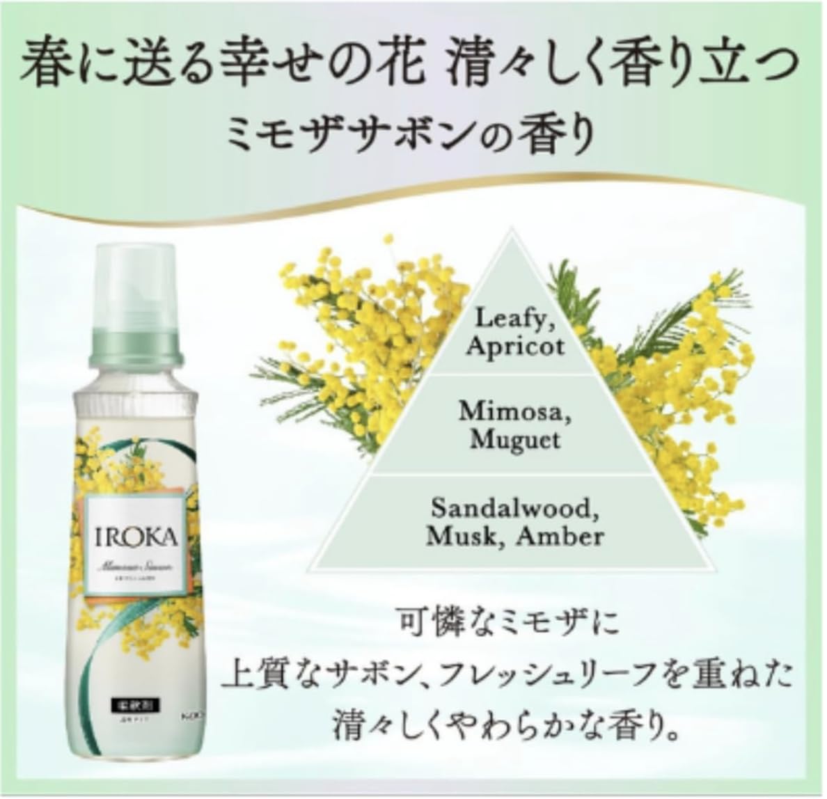 Amazon | 【販路限定品】【季節限定】I R O K A ミモザサボンの香り