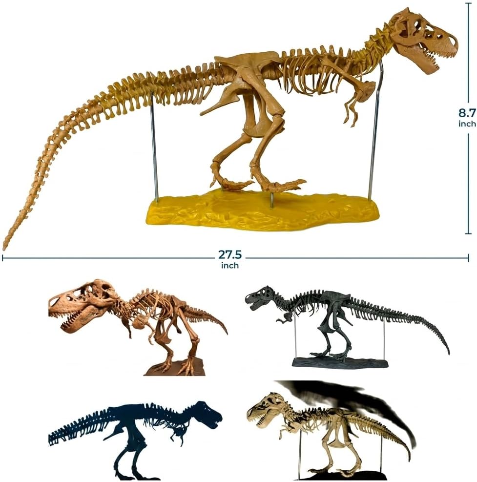 Toysvill Archaeological Big Fossil Dinosaur Skeleton, DIY, 3D Puzzle 60 pcs [Realistic Tyrannosaurus Rex Model] image 2