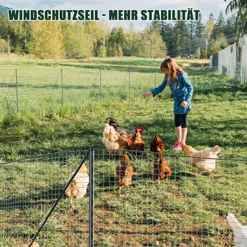 SUNYRISY Hühnerzaun Geflügelnetz Gartenzaun, 50m L x 100cm H Mobiler Hundezaun Camping Weidezaun Steckzaun Begrenzungszaun Zchafzaun Fence für Garten, Nylon Material