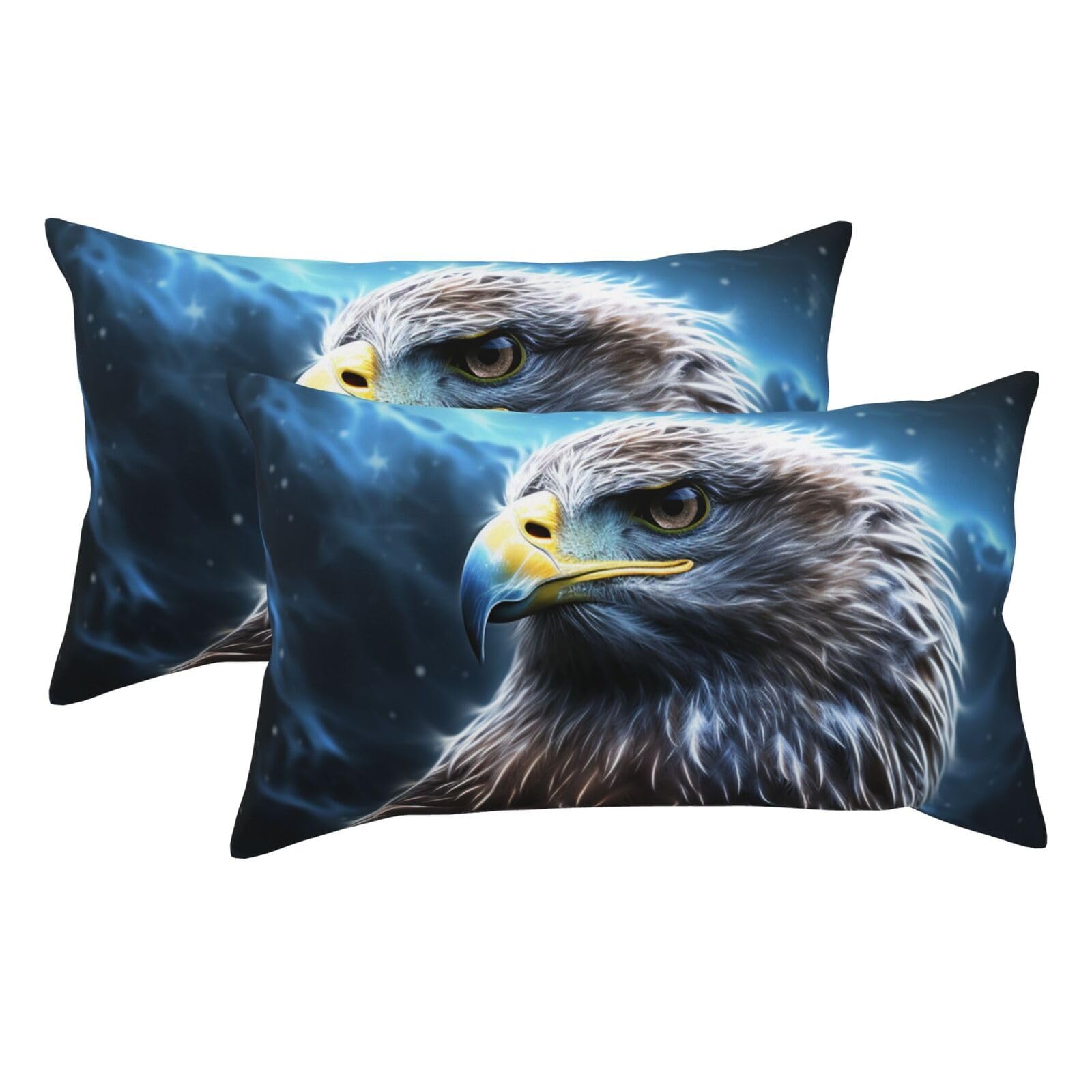 2 Pack King Pillow Cases with Hidden Zipper, Soft Breathable Pillow Covers for Hair and Skin, Night Sky Eagle Pillowcases 20"x36" Bed Pillow Protectors Cover for Sleeping Gifts