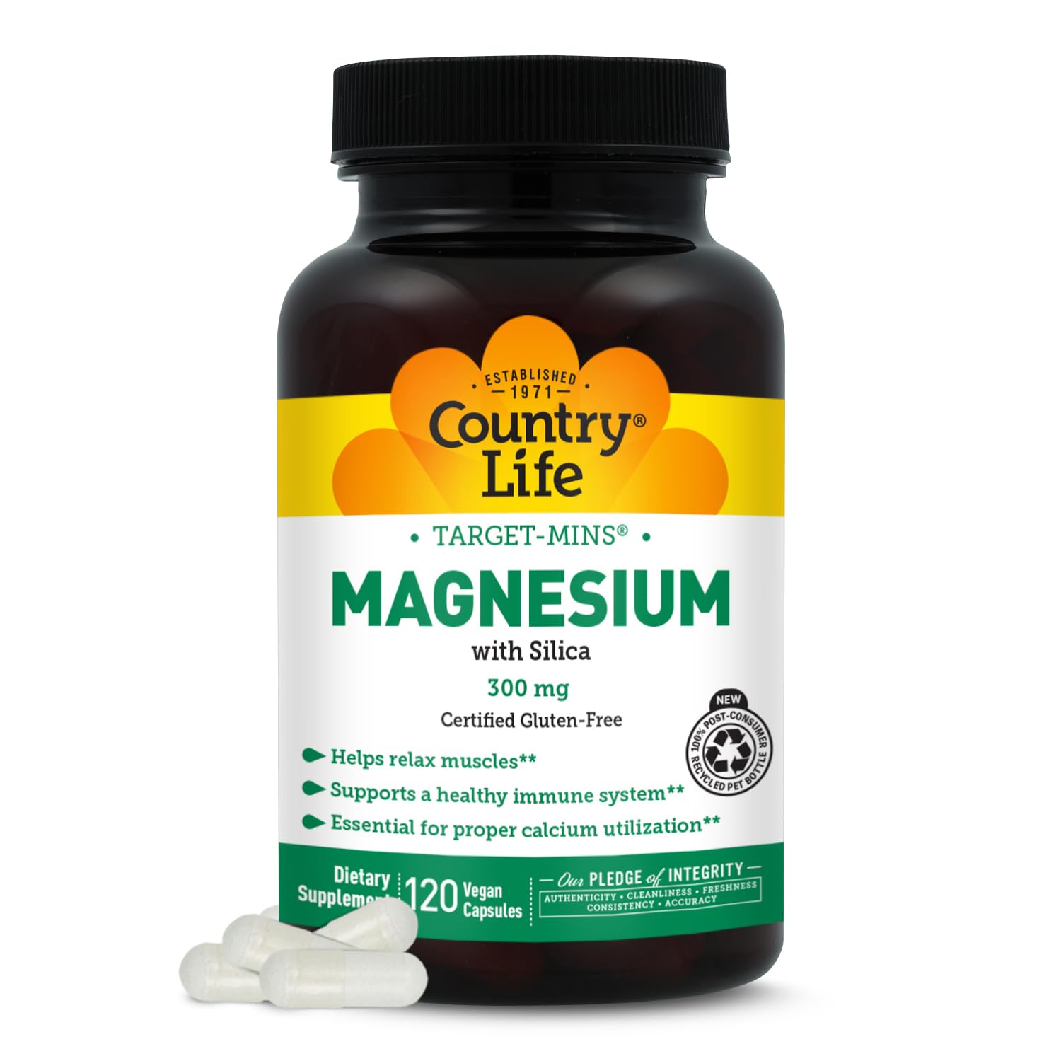 Target-Mins Magnesium with Silica 300 mg 120 Vegetarian Capsules