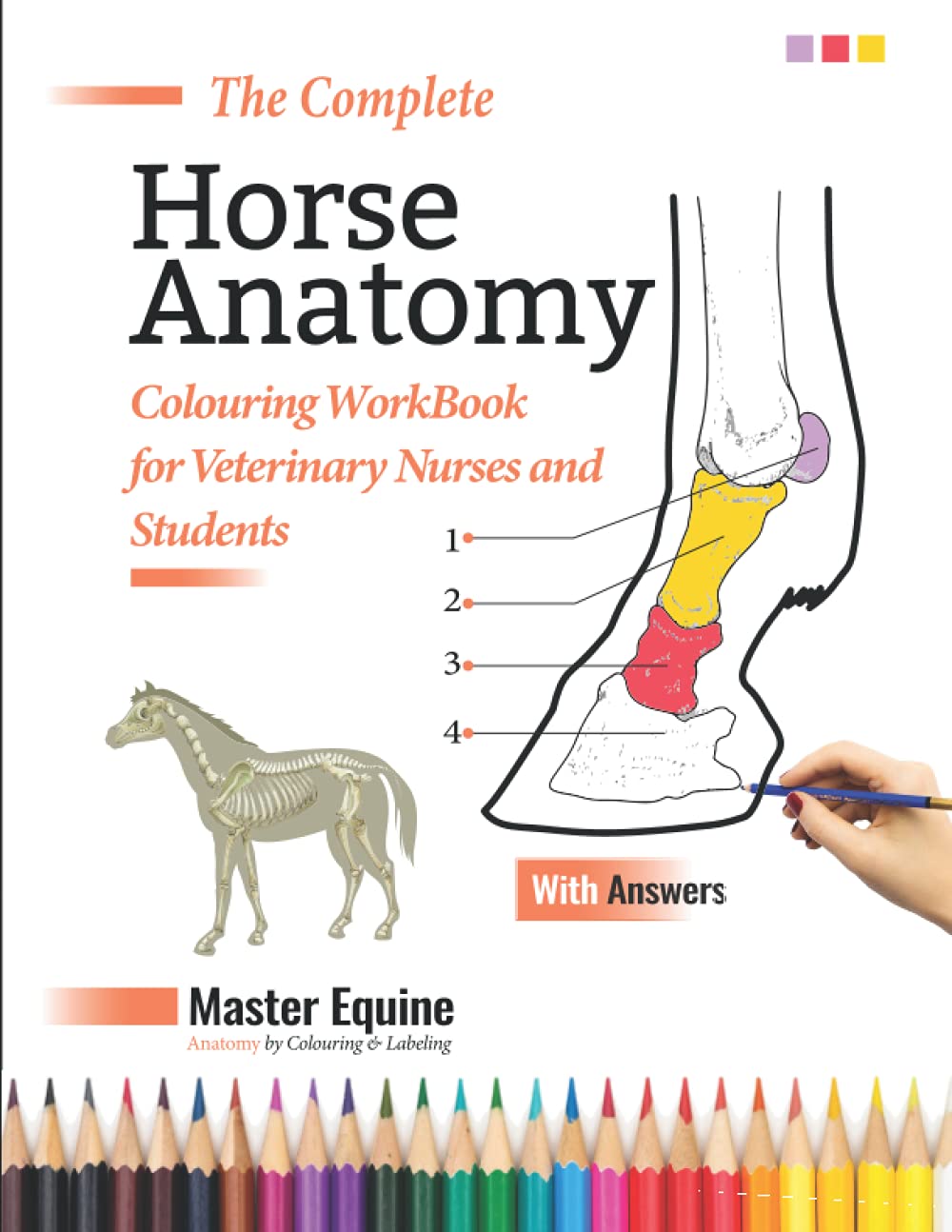 The Complete Horse Anatomy Colouring Workbook for Veterinary Nurses and Students Master Equine