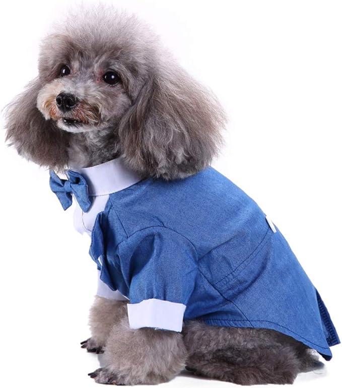 Chaqueta de Boda para Perro GabeFish - Talla M Azul miniatura 3