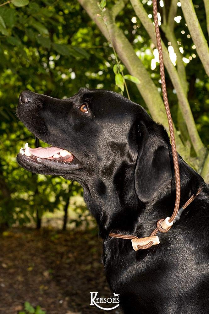 KENSONS Retrieverleine 'Sporty' – 6 Mm Tau, Mit Hirschhorn-Stopper, Für Alle Hunderassen