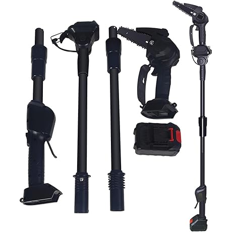 2-in-1 Cordless Pole Saw with 21ft Reach