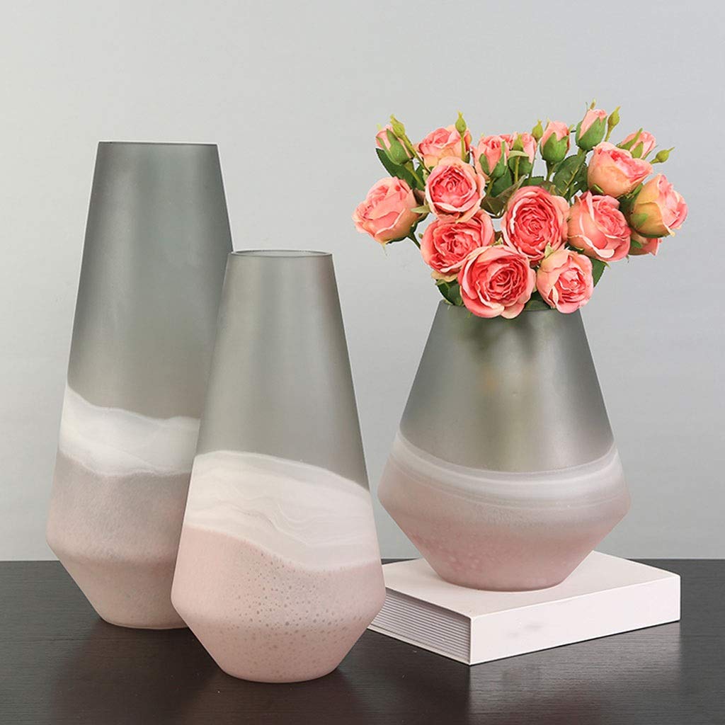 Vaso Il vaso di vetro smerigliato americano può essere idroponico Home Living Room Model Room Mobile TV Decorazione floreale Decorazione Vaso In Ceramica(B)