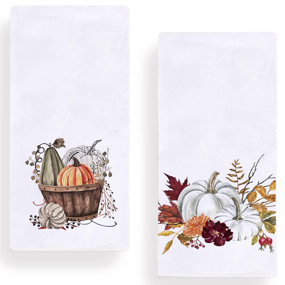 Secarond Fall Pumpkin Leaves Kitchen Dish Towel 18 x 28 Inch Set of 2, Autumn Rustic Harvest Thanksgiving Holiday Tea Towels Dish Cloth for Cooking Baking