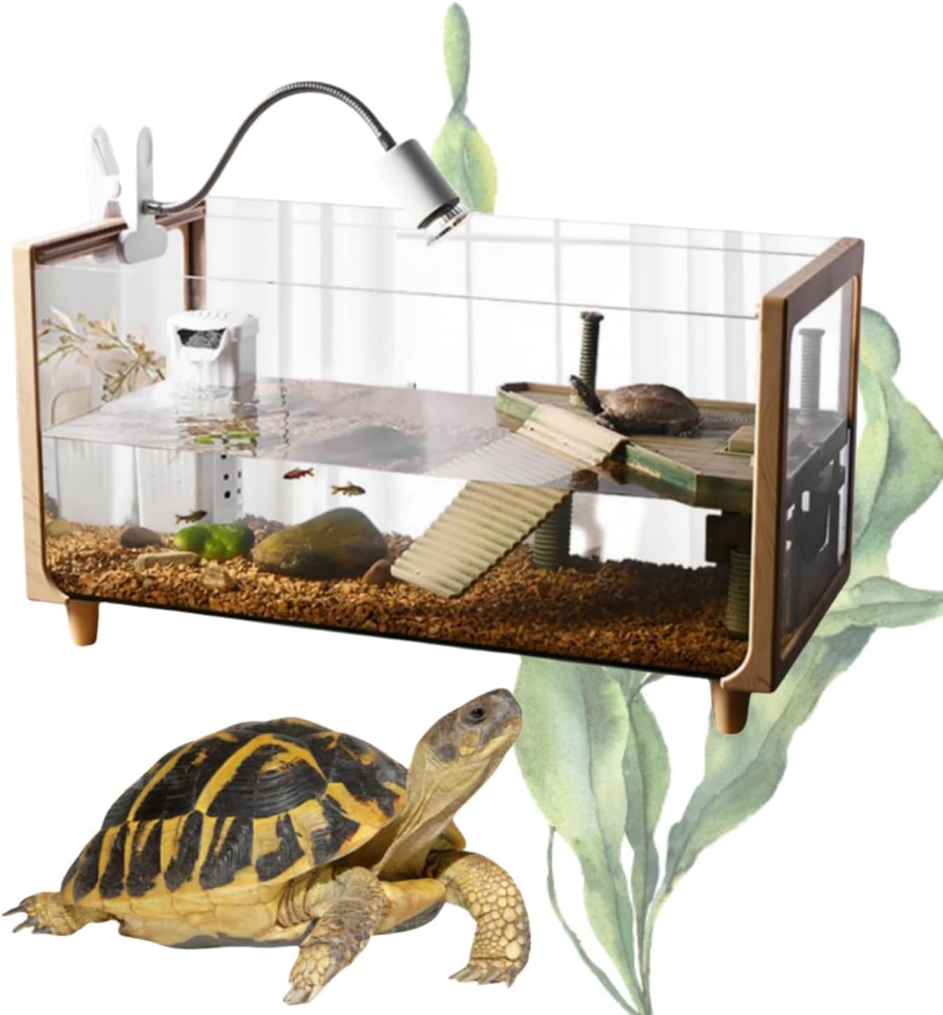 【月猫屋】ガラスケース　リクガメ　水槽60×約30(奥行)×約35 Amazon | 亀 水槽 大きい 透明 リクガメ ケージ カメの生息地 飼育箱